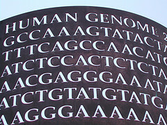 Human Genome by Dollar Bin